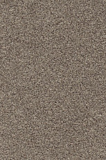 Ковролин AW Stainguard Harvest 31 фото 1 | FLOORDEALER